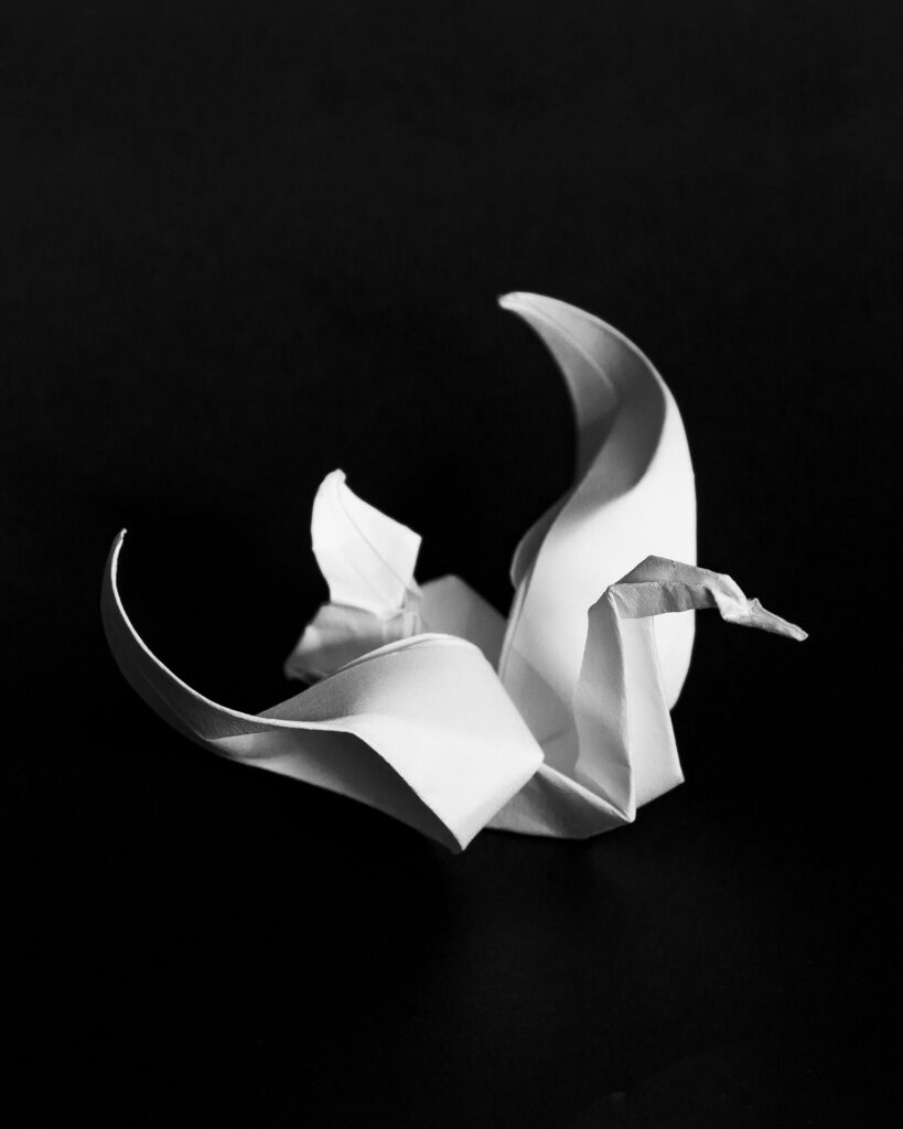 final black-and-white origami swan form photograph